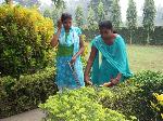~/PhotoGallery/Photo_41210315.jpg